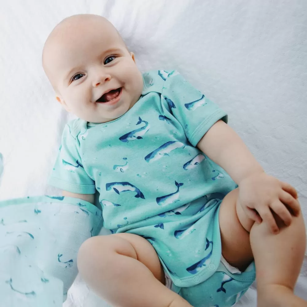 100% Organic Cotton Summer Short-Sleeve Onesie - Watercolour Whale Pods in Aquatic Blue