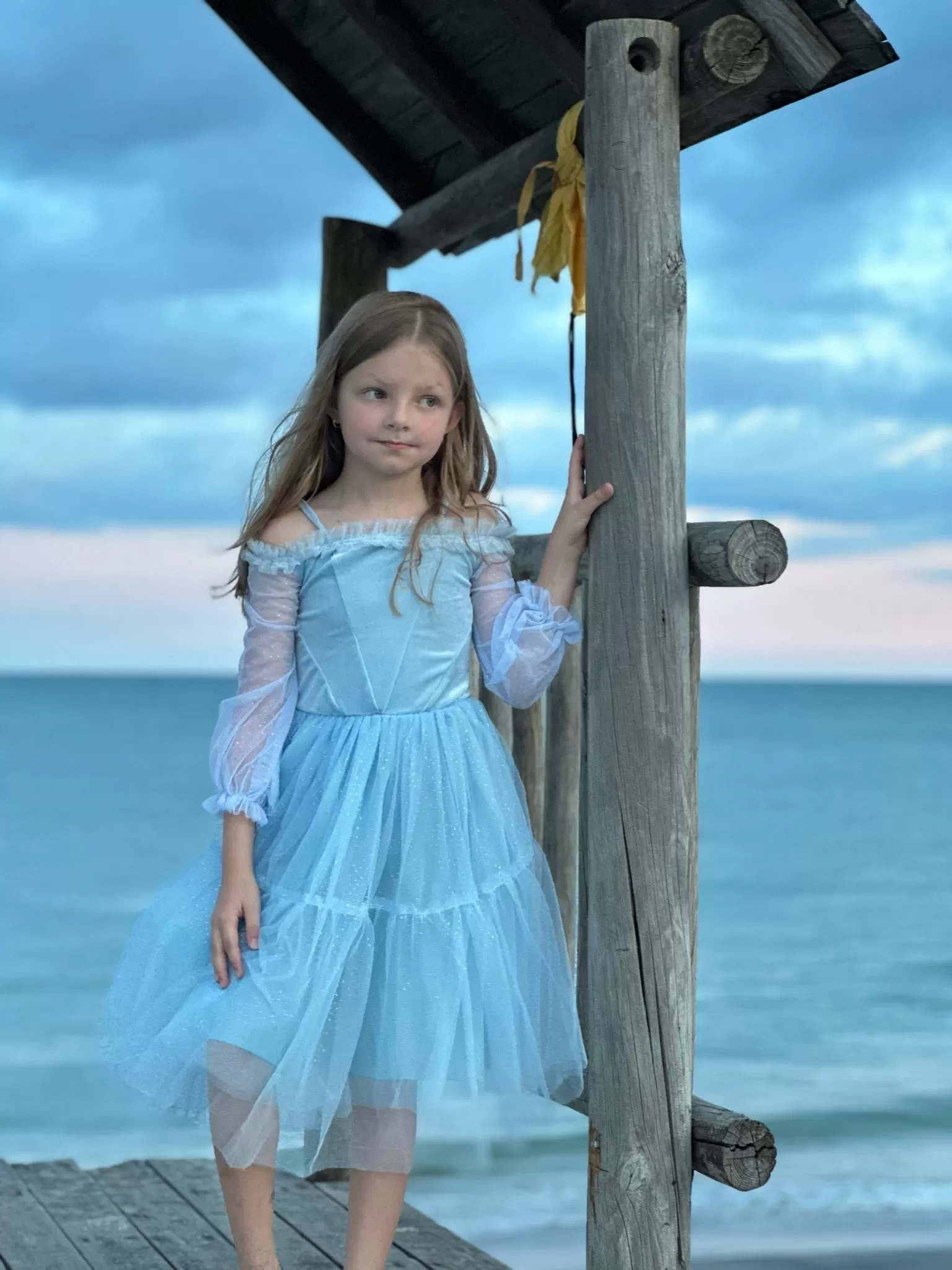 The Under The Sea Princess Live Action Costume Dress